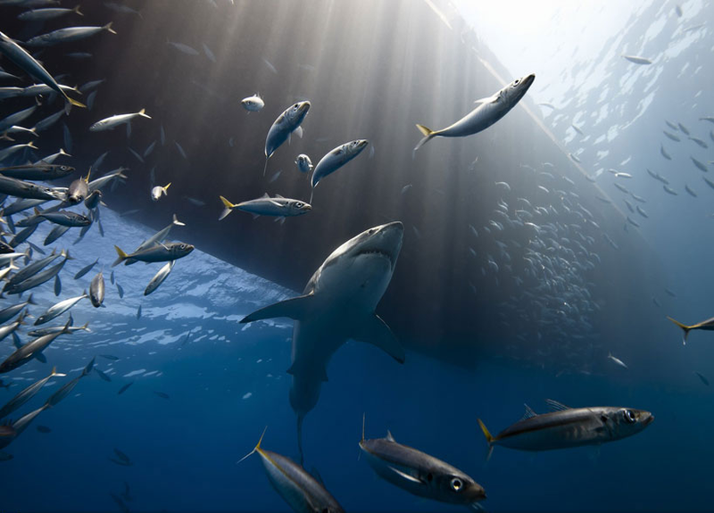 Illustration for article titled Spectacular winning images from Nat Geo's 2013 travel photo contest